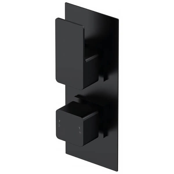 Nuie Windon Concealed Thermostatic Shower Valve - Rectangular Trim - 2 Control