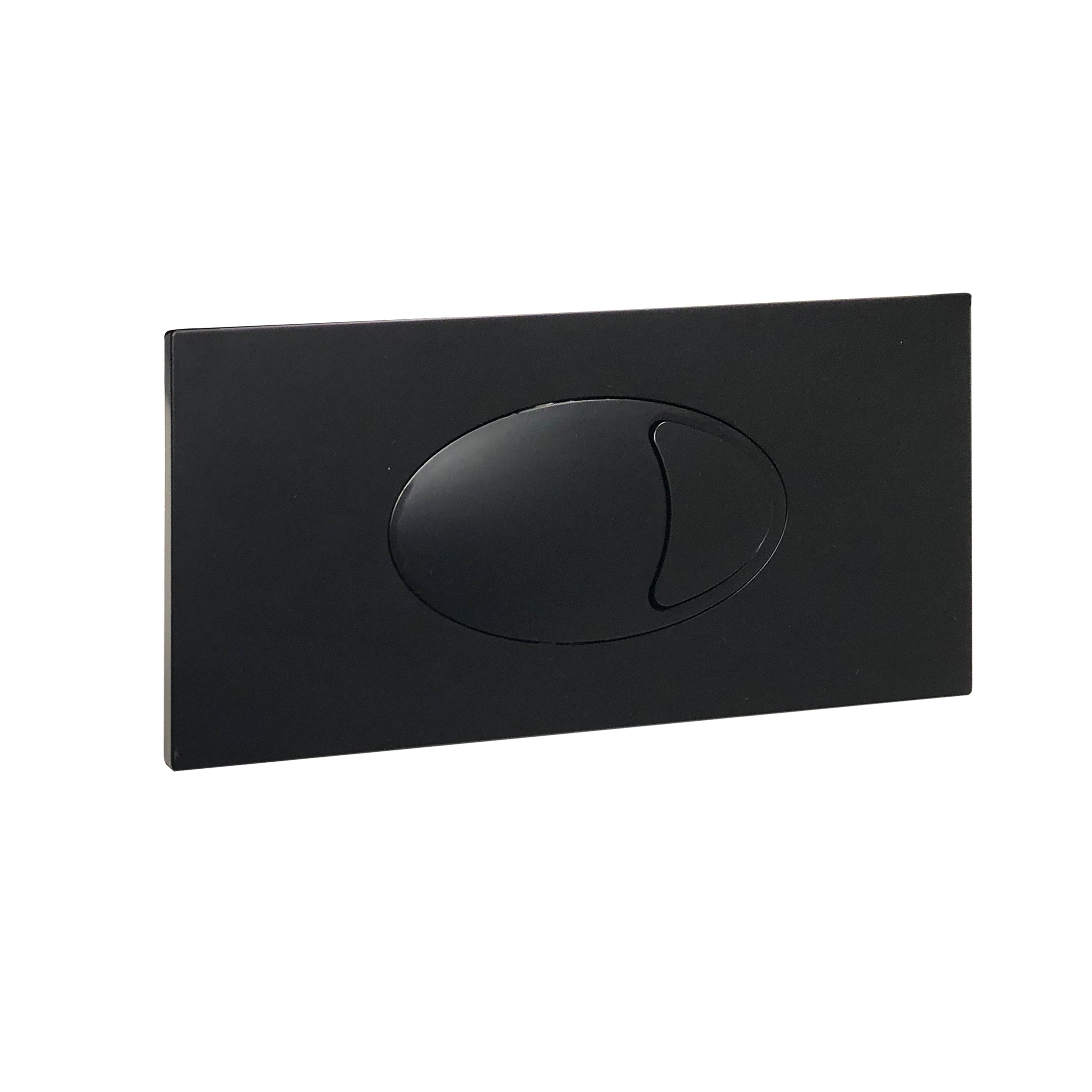 Concealed Cistern with Flush Plate