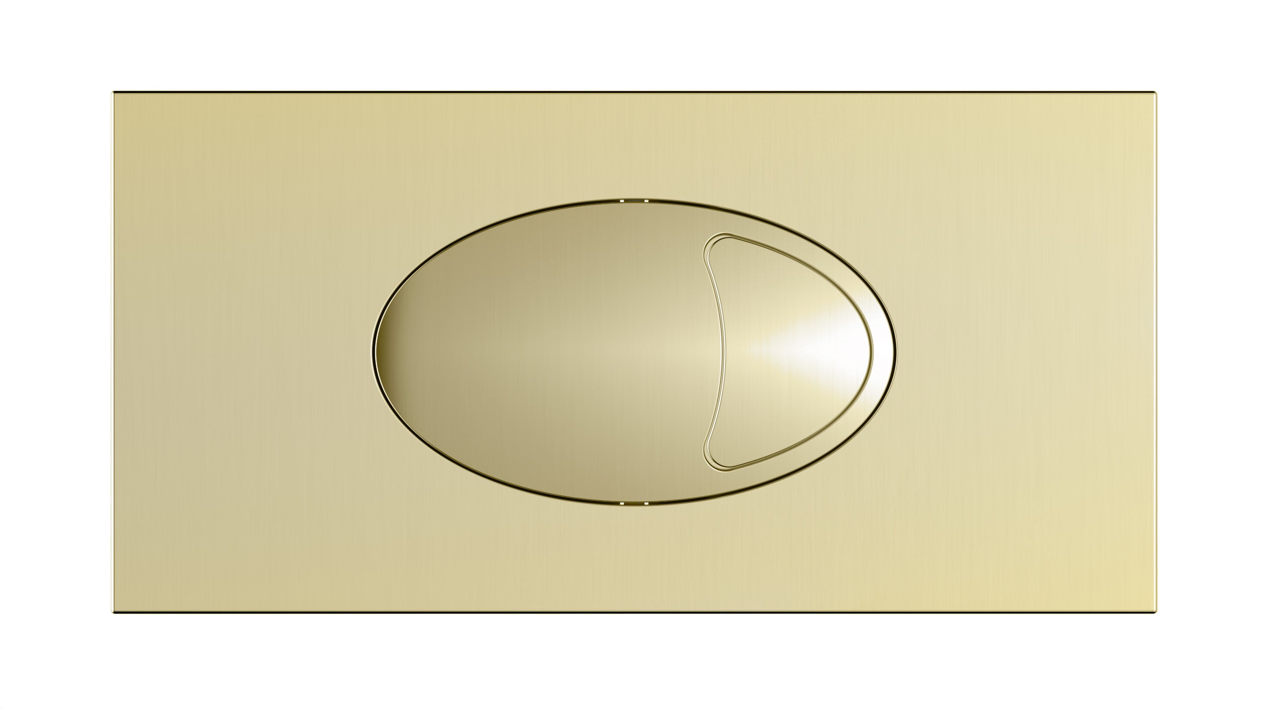 Concealed Cistern with Flush Plate