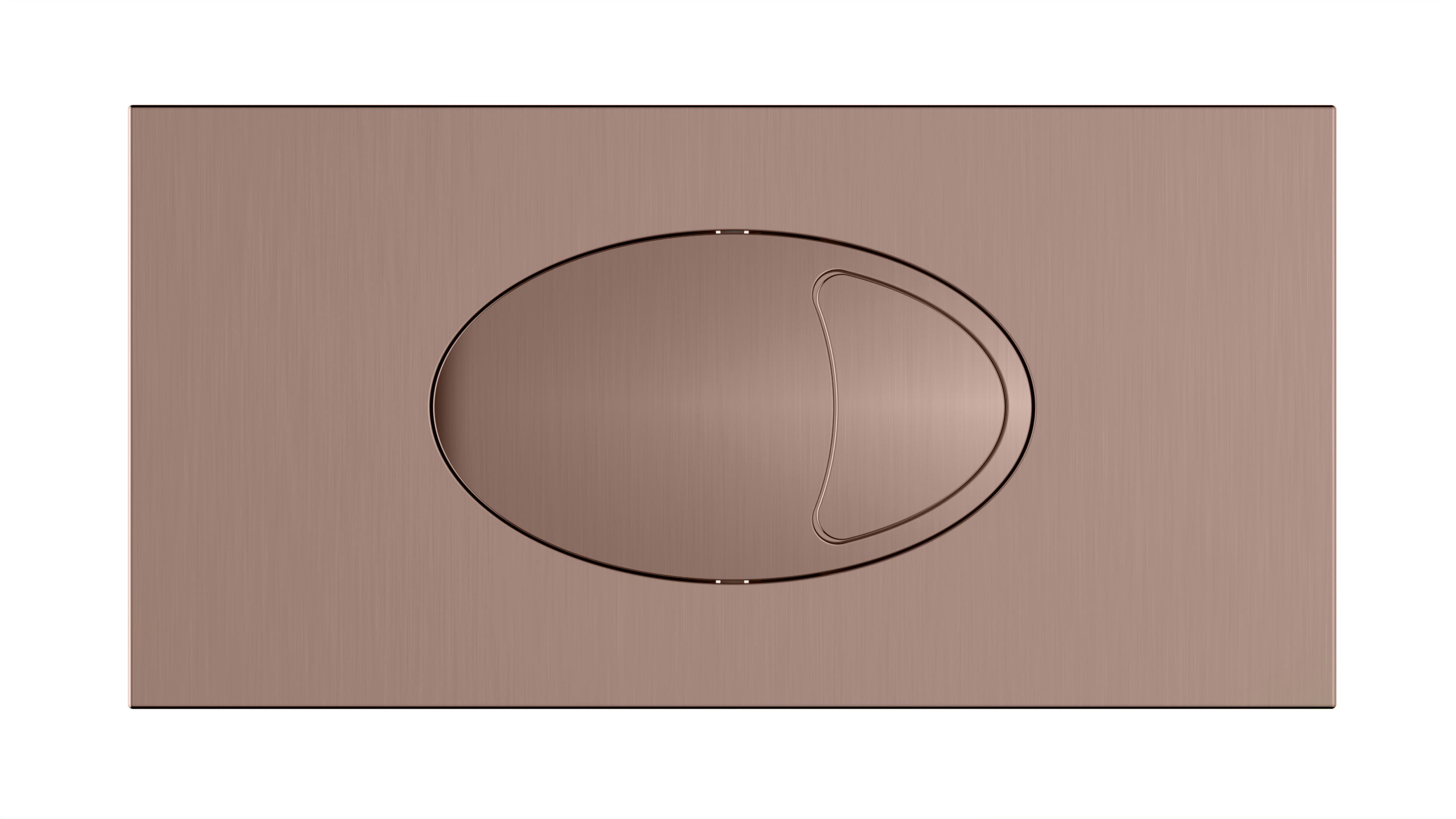 Concealed Cistern with Flush Plate