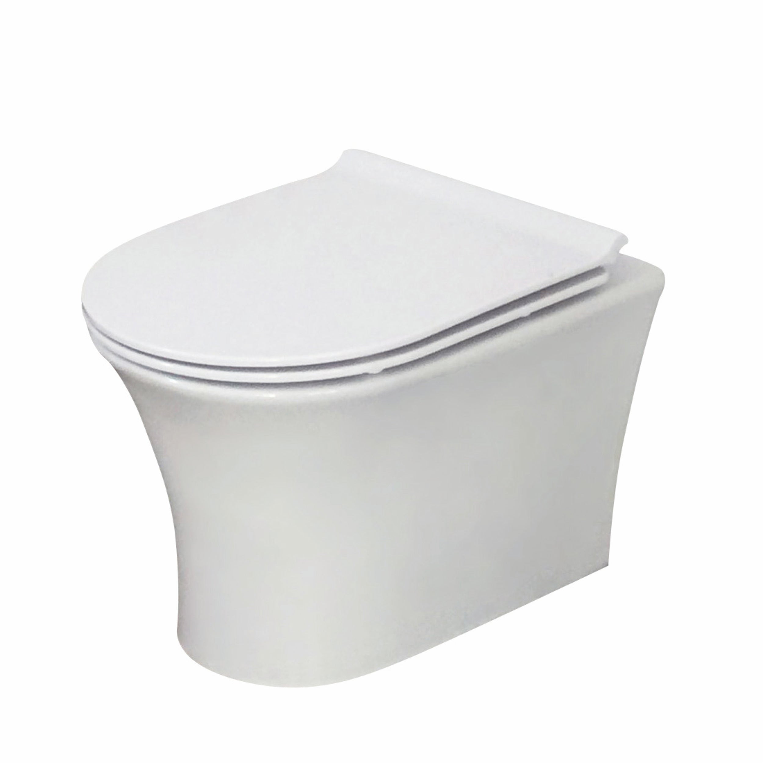 Deia 360mm Wall Hung Toilet with Soft Close Seat