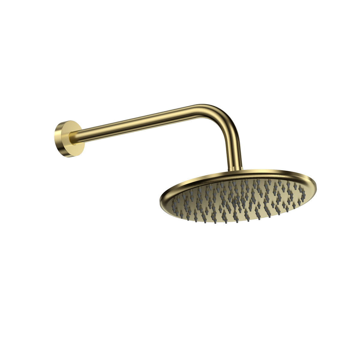 Round Shower Head & Arm