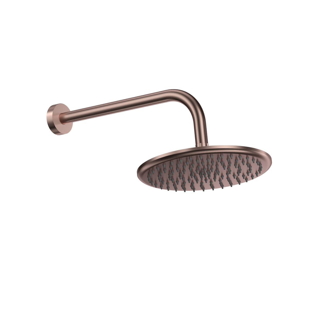 Round Shower Head & Arm