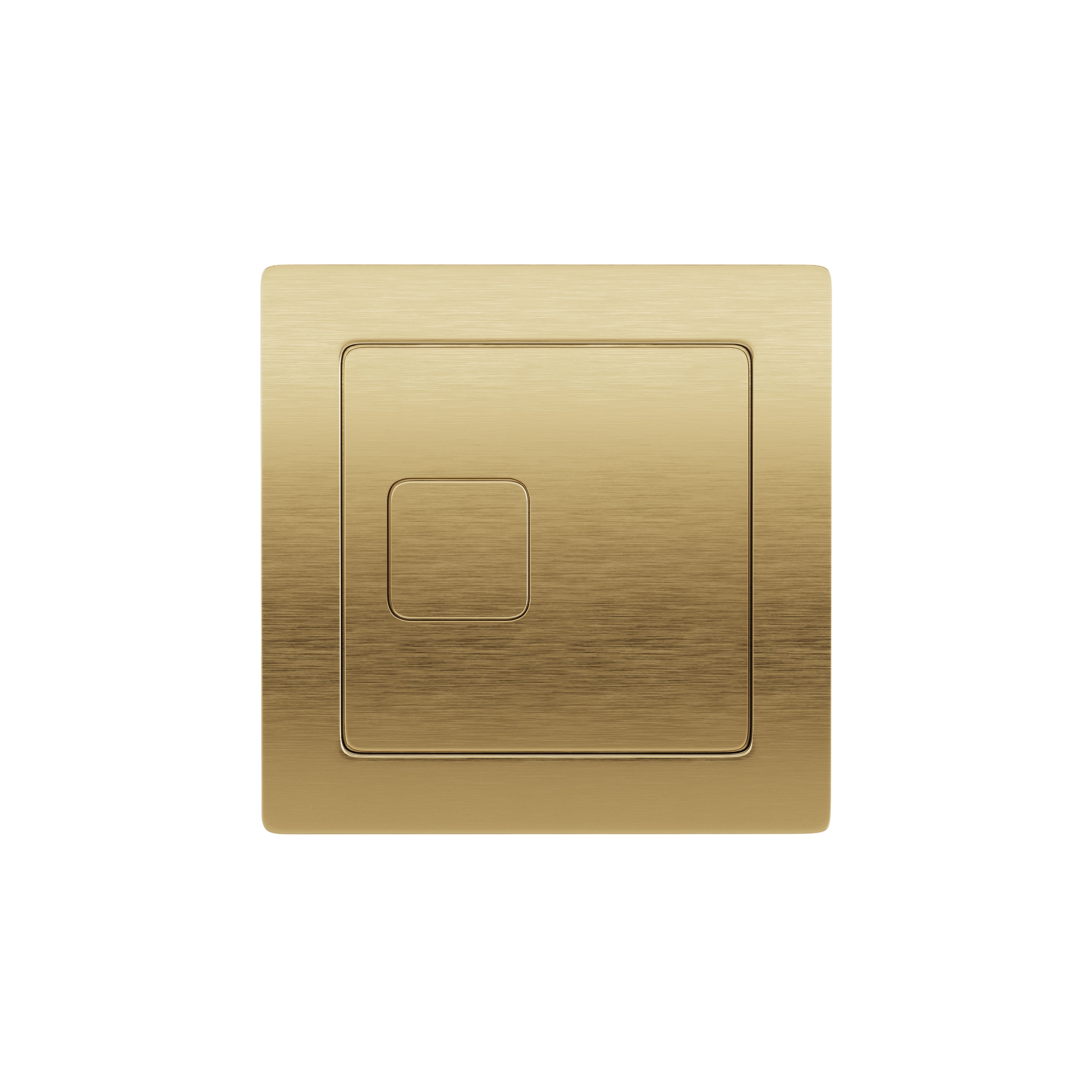 Concealed Cistern with Flush Plate