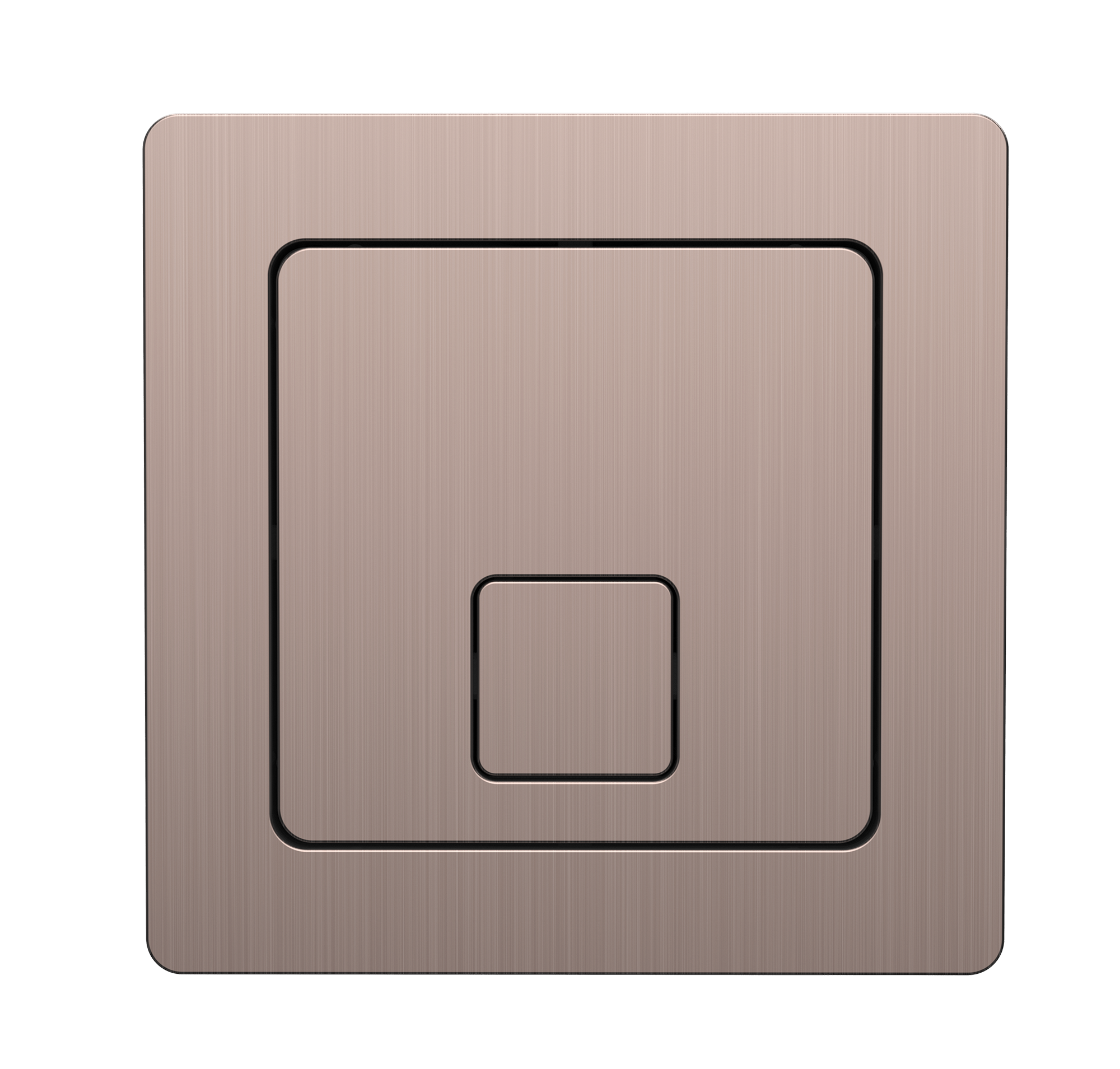 Concealed Cistern with Flush Plate