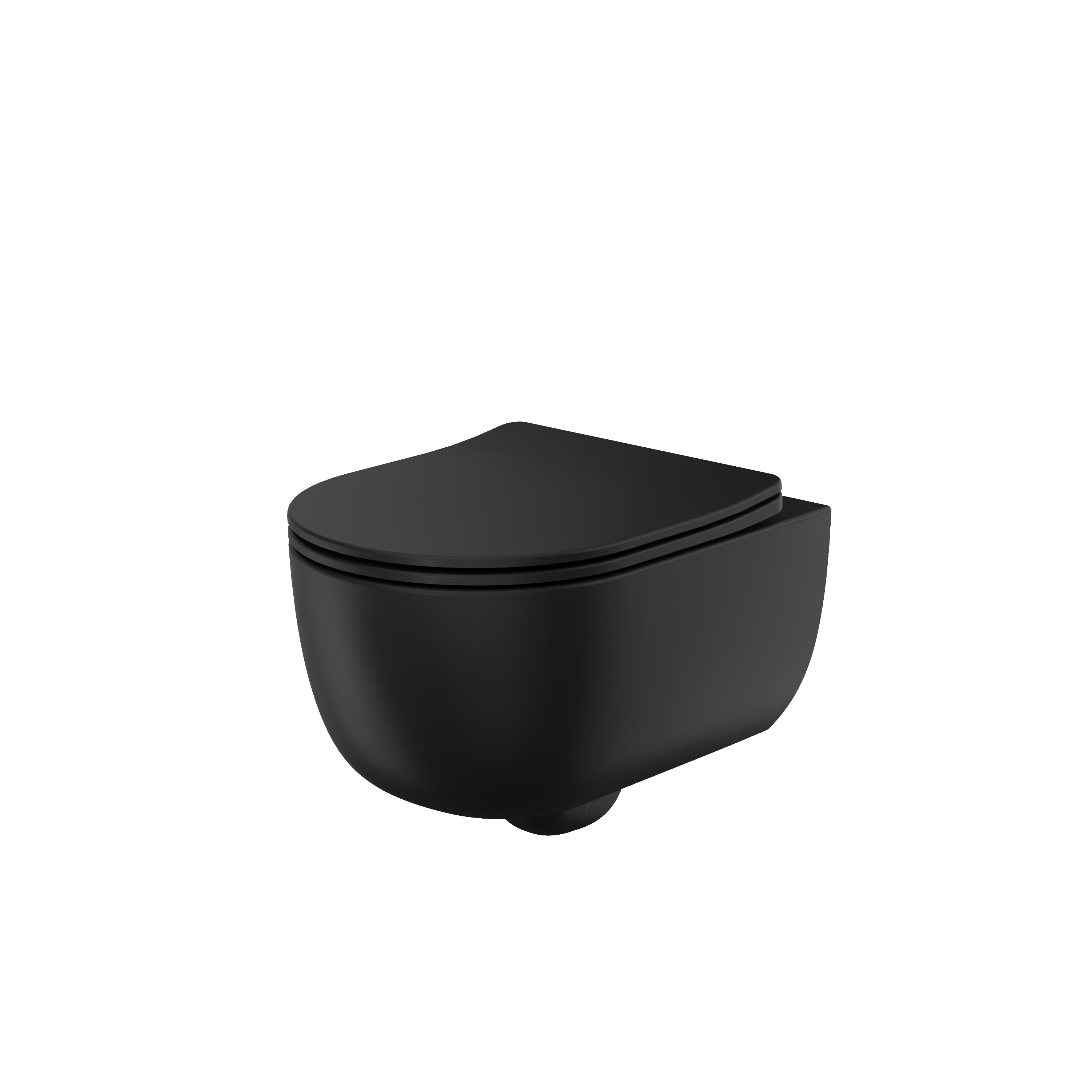Riviera Wall Hung Toilet with Soft Close Seat