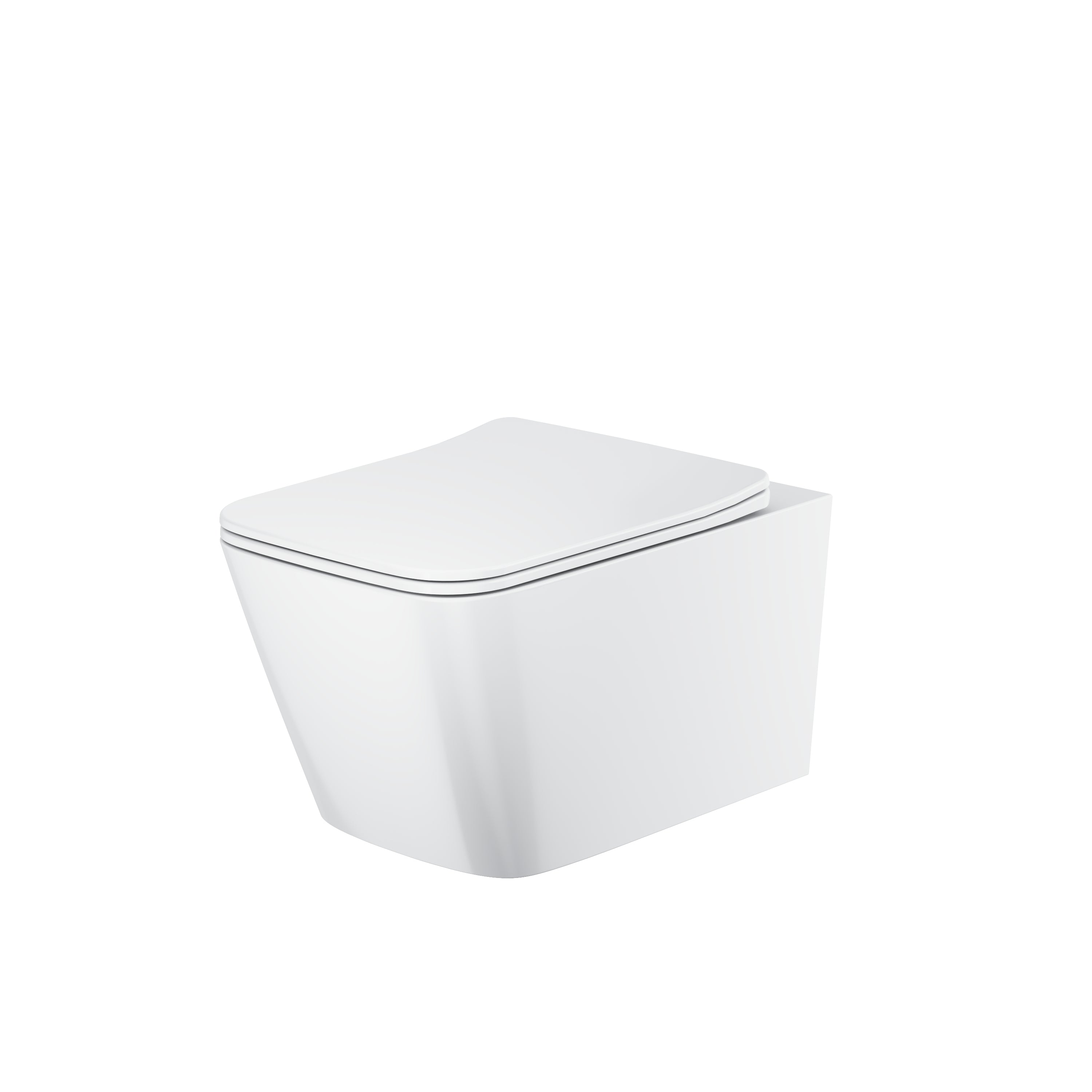 Riviera Wall Hung Toilet with Soft Close Seat