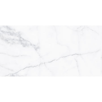 Alpi 30x60 White Polished Porcelain Tile
