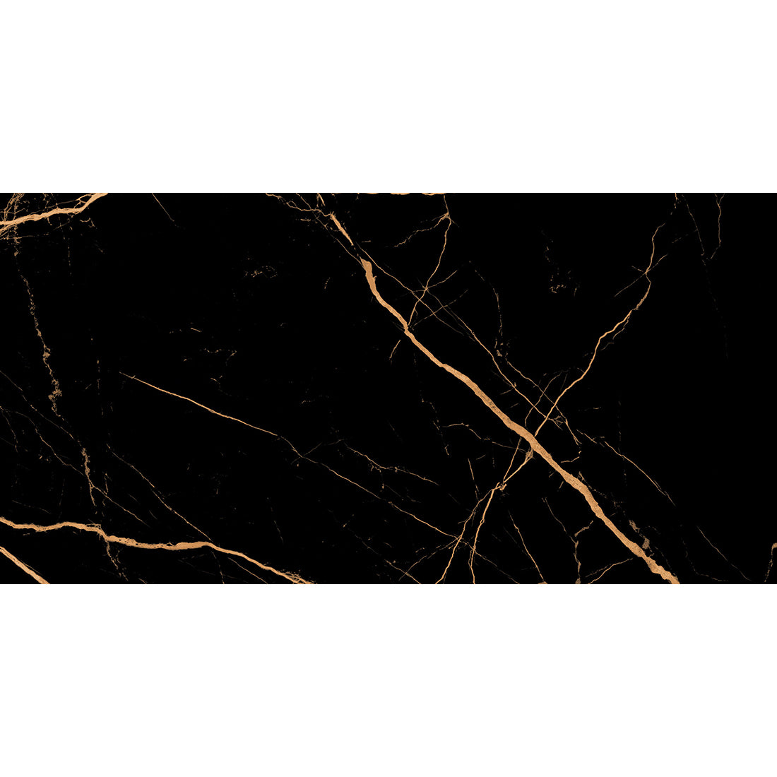 Atlantis Black 60x120 Gold Polished Porcelain Tile