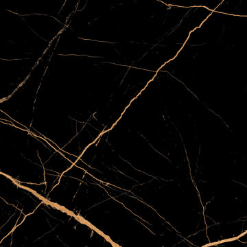 Atlantis Black 60x60 Gold Polished Porcelain Tile