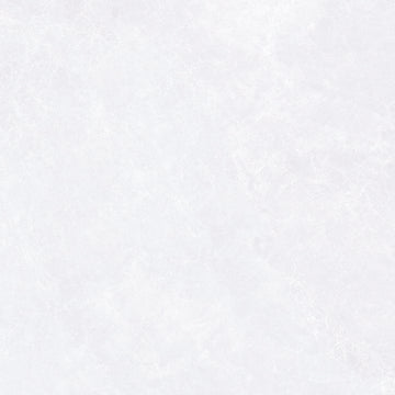 Capitolina 59.2x59.2 Ash Matt Porcelain Tile