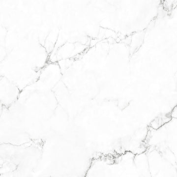 Dakota 59x59 White Polished Porcelain Tile