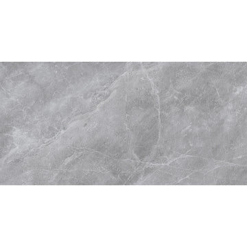 Delphine 60x120 Grey Carving Porcelain Tile