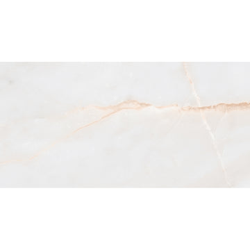 Essenza 30x60 White Matt Porcelain Tile Tile