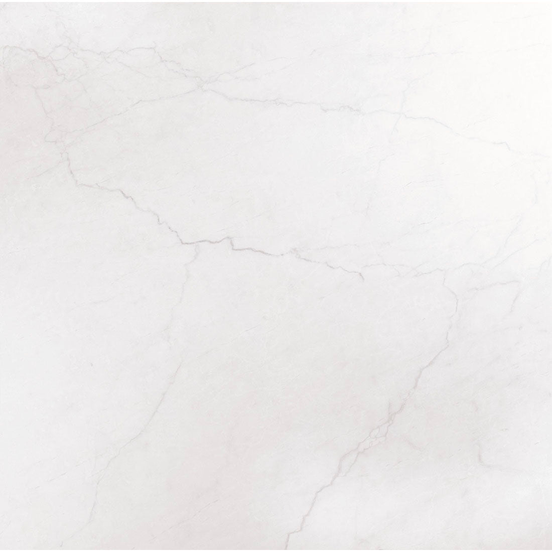 Halo 79x79 Blanco Polished Porcelain Tile