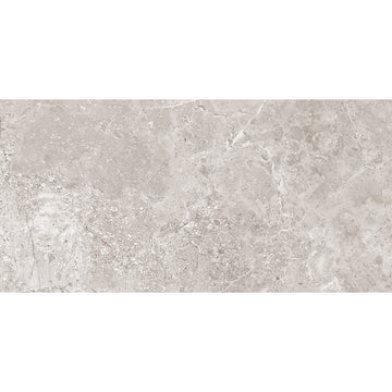 Jerico 30x60 Grey Polished Porcelain Wall & Floor Tile
