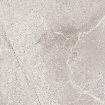 Jerico 60x60 Grey Polished Porcelain Wall & Floor Tile