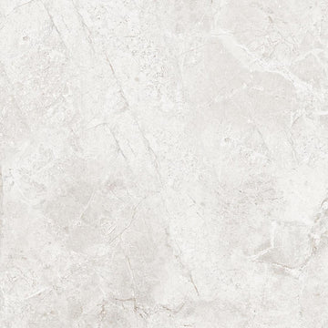 Jerico 60x60 Perla Polished Porcelain Wall & Floor Tile