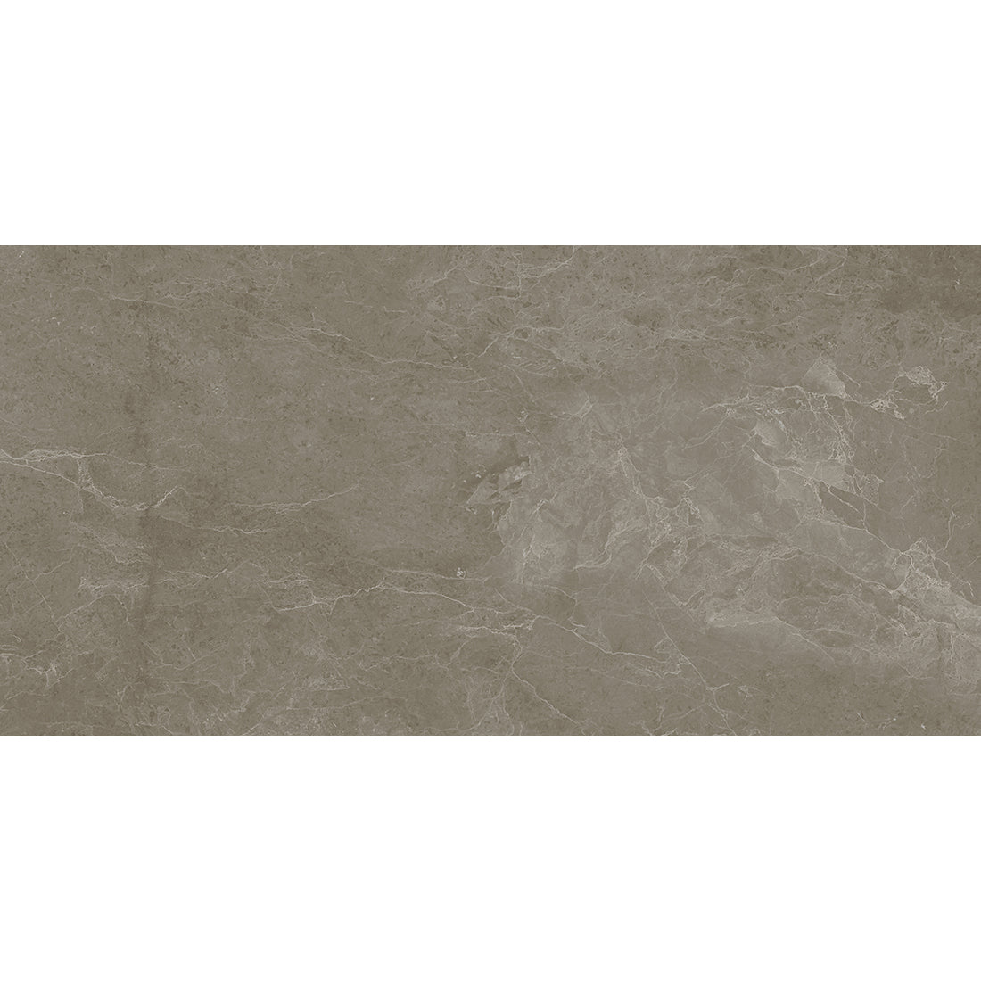 Linsey Forest 60x120 Matt Porcelain Wall & Floor Tile