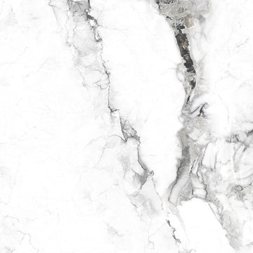 Lucina White 60x60 Polished Porcelain Wall & Floor Tile