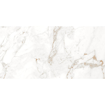 Nover 60x120 Brown Matt Carving Porcelain Tile