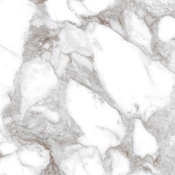 Oro Calcutta 60x60 White Polished Porcelain Tile