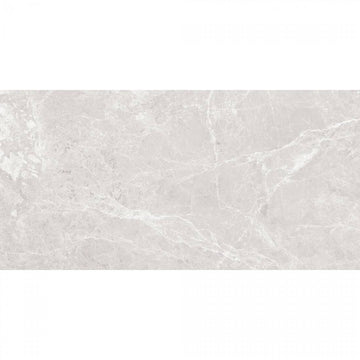 Paradise 60x120 Silver Polished Porcelain Wall & Floor Tile