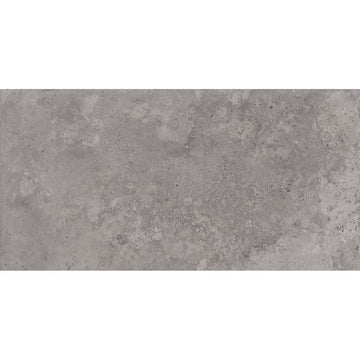 Roma 30x60 Grey Gloss Ceramic Tile