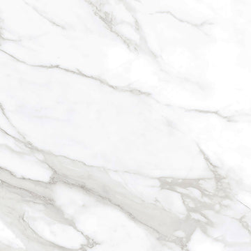 Taj Mercury 60x60 White Polished Porcelain Tile