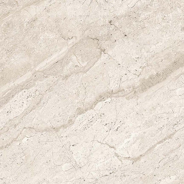 Trampoid 30x60 Ice Polished Porcelain Tile