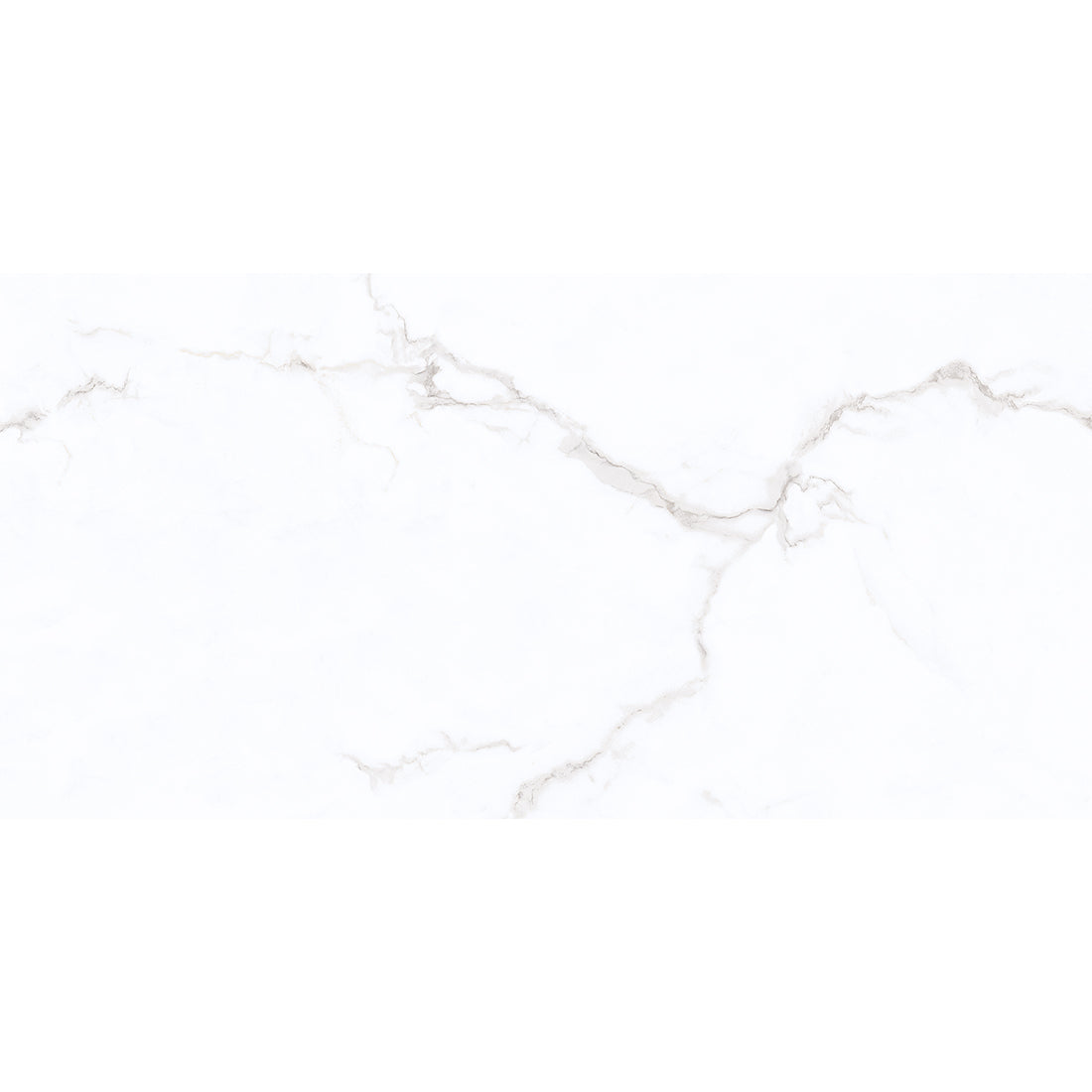 Trevi New 30x60 White Gloss Ceramic Tile