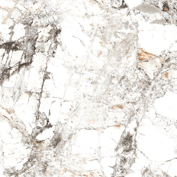 Zebra 60x60 White Polished Porcelain Tile